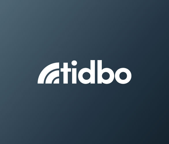 logo design case study tidbo